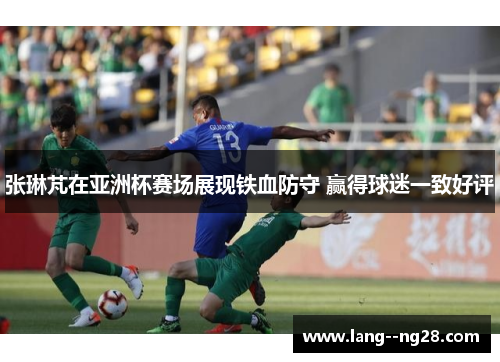张琳芃在亚洲杯赛场展现铁血防守 赢得球迷一致好评 张琳芃在亚洲杯赛场展现铁血防守 赢得球迷一致好评