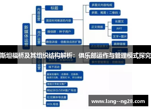 斯坦福桥及其组织结构解析：俱乐部运作与管理模式探究